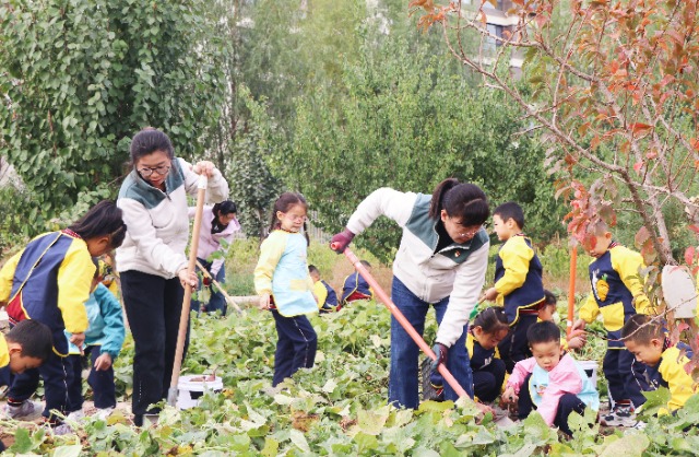 老師帶領(lǐng)幼兒在種植園挖紅薯，體驗勞動的快樂。魯雅芳 攝.jpg