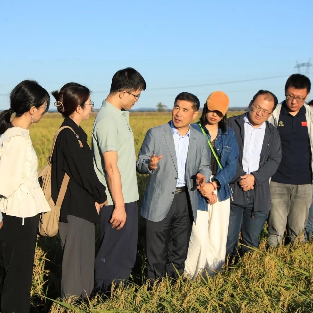 馬軍院士在稻田里授課。辛然攝.jpg