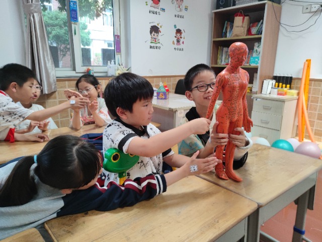寧波市鎮(zhèn)安小學(xué)學(xué)生體驗(yàn)“尋穴位” 學(xué)校供圖.jpg 寧波市鎮(zhèn)安小學(xué)學(xué)生體驗(yàn)“尋穴位” 學(xué)校供圖.jpg