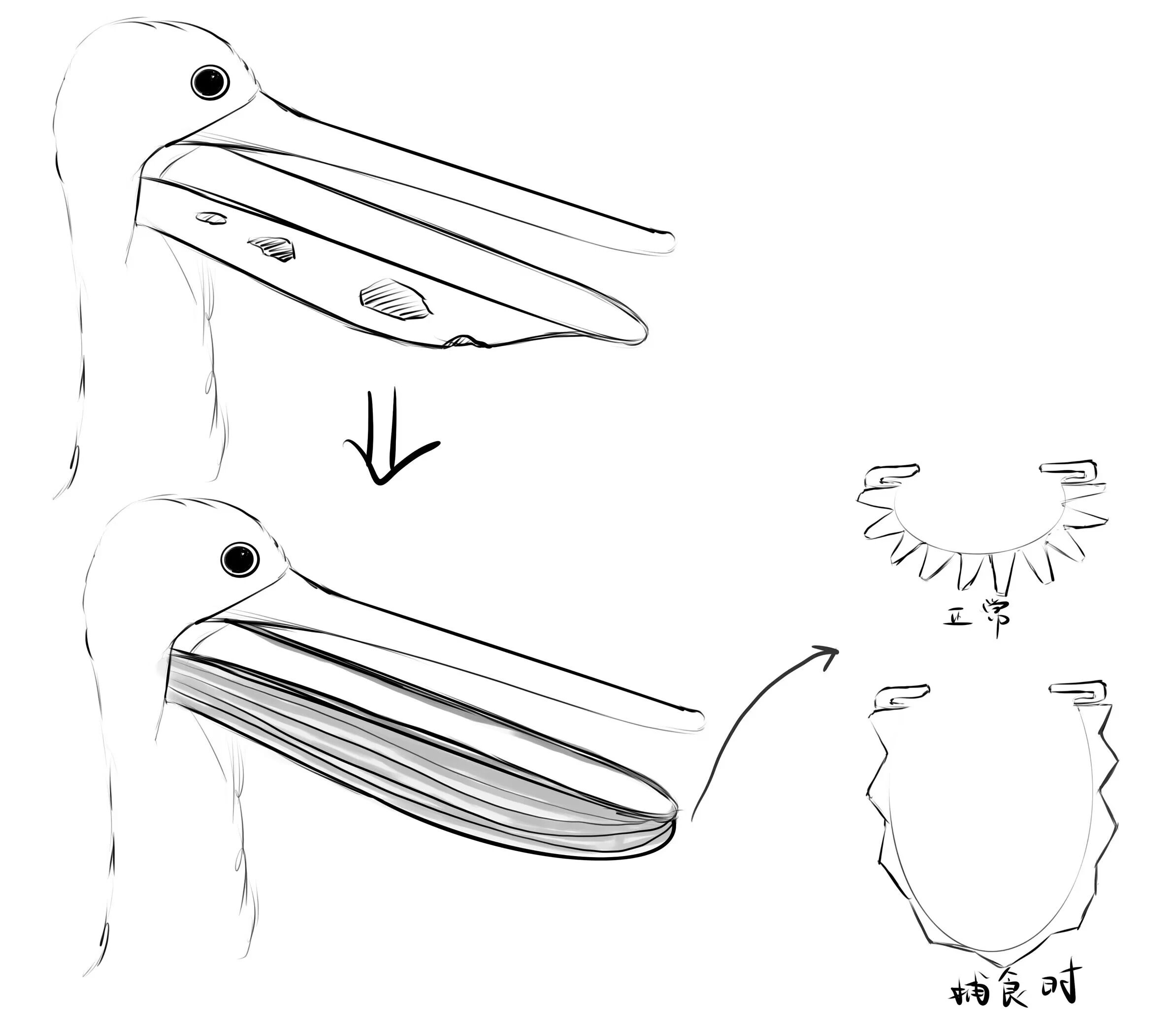 江大圖片01.jpg 江大圖片01.jpg